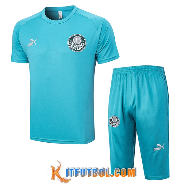 Camiseta Entrenamiento + Cortos Palmeiras Verde 2023/2024