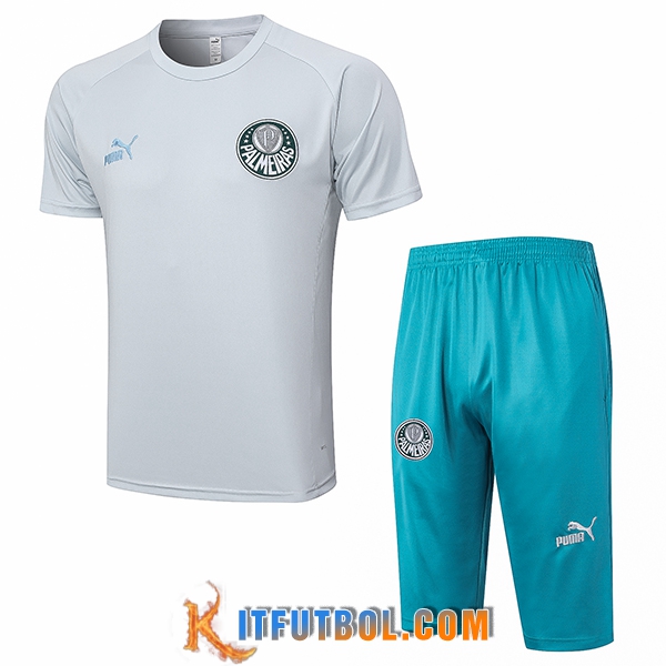 Camiseta Entrenamiento + Cortos Palmeiras Gris Claro 2023/2024