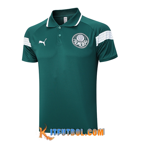 Camiseta Polo Palmeiras Verde 2023/2024