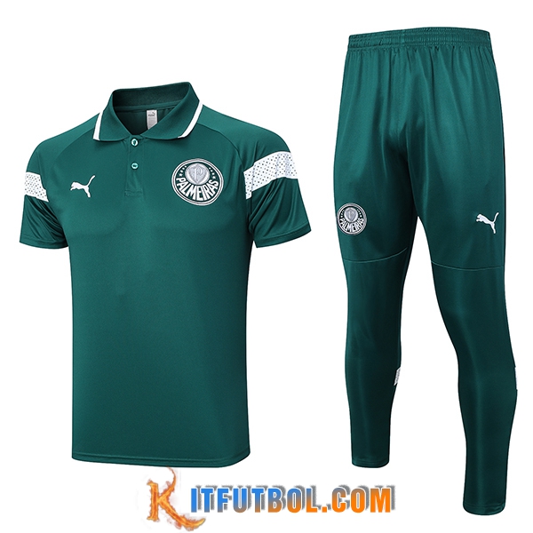 Camiseta Polo Palmeiras Verde 2023/2024