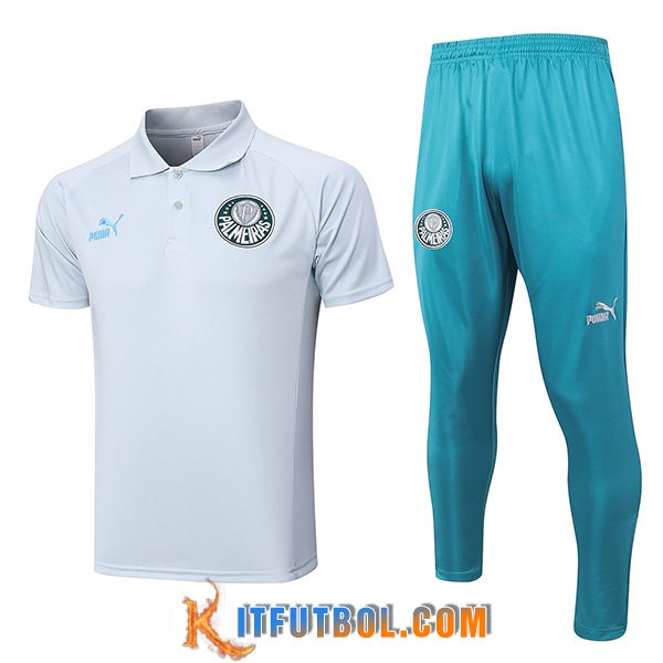 Camiseta Polo Palmeiras Gris 2023/2024