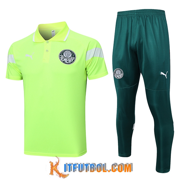 Camiseta Polo Palmeiras Verde 2023/2024 -02