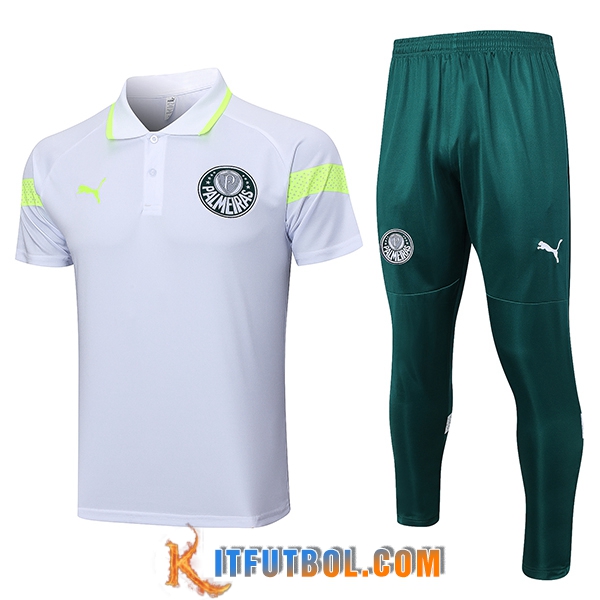Camiseta Polo Palmeiras Gris 2023/2024 -02