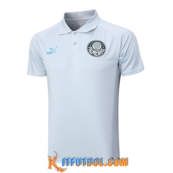 Camiseta Polo Palmeiras Gris 2023/2024