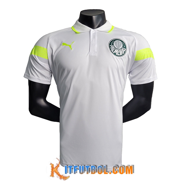 Camiseta Polo Palmeiras Gris 2023/2024 -04