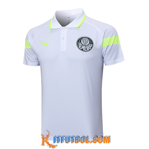 Camiseta Polo Palmeiras Gris 2023/2024 -02