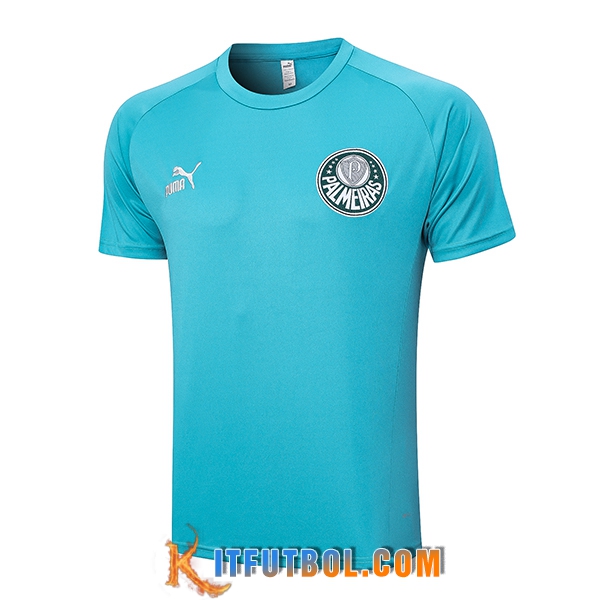 Camiseta Entrenamiento Palmeiras Verde 2023/2024