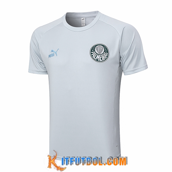Camiseta Entrenamiento Palmeiras Gris Claro 2023/2024