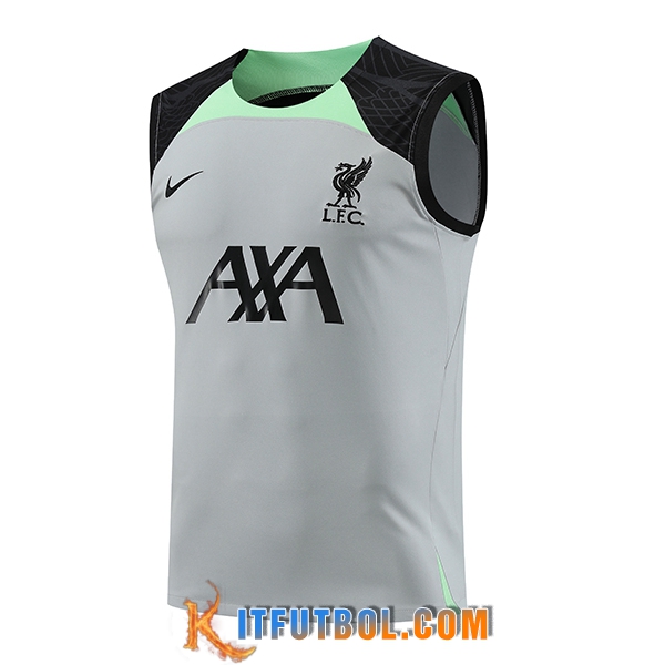Chalecos De Futbol FC Liverpool Gris 2023/2024 -02
