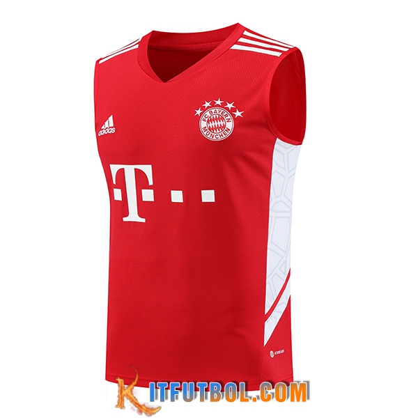 Chalecos De Futbol Bayern Munich Rojo 2023/2024 -02