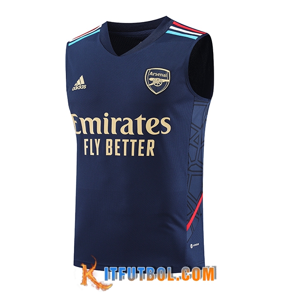 Chalecos De Futbol Arsenal Azul marino 2023/2024