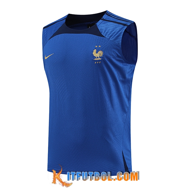 Chalecos De Futbol Francia Azul 2023/2024