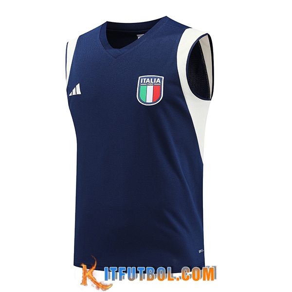 Chalecos De Futbol Italia Azul marino 2023/2024