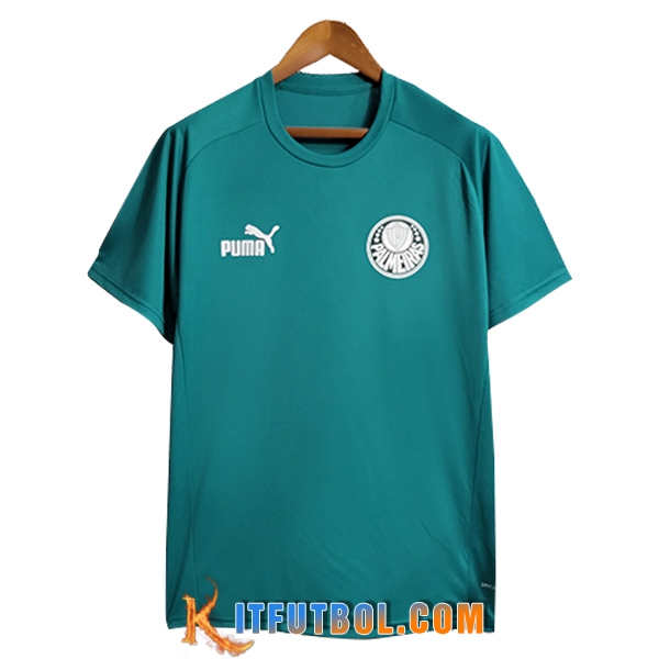 Camiseta Entrenamiento Palmeiras Verde 2023/2024 -02