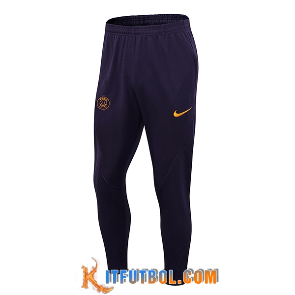 Pantalon Entrenamiento PSG Violeta 2023/2024