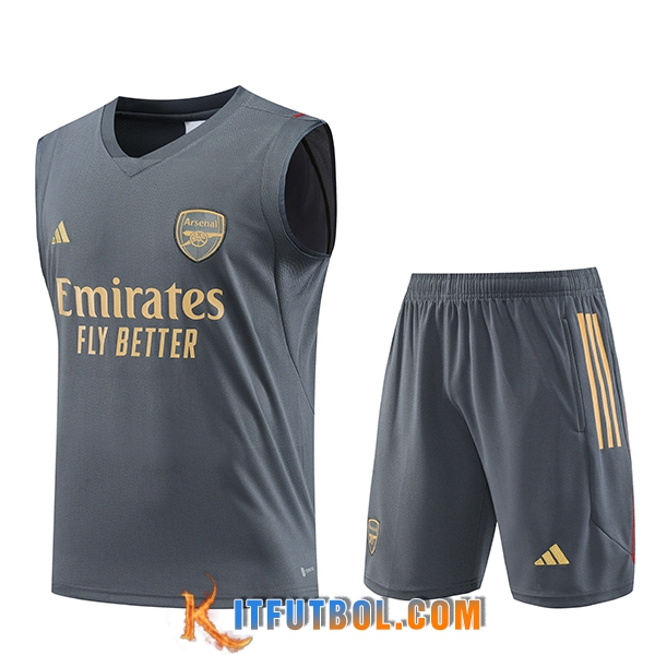 Camiseta Entrenamiento sin mangas + Cortos Arsenal Gris 2023/2024
