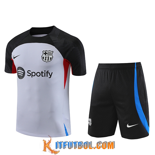 Camiseta Entrenamiento + Cortos FC Barcelona Gris 2023/2024
