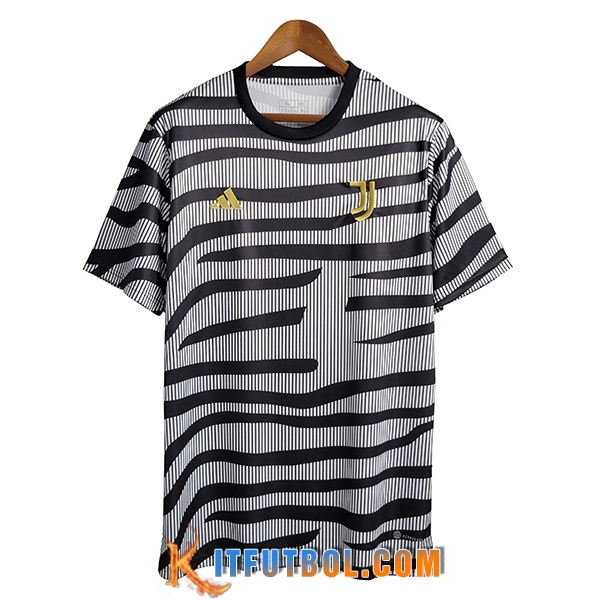 Camiseta Entrenamiento Juventus Negro/Gris 2023/2024