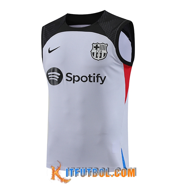 Chalecos De Futbol FC Barcelona Gris 2023/2024