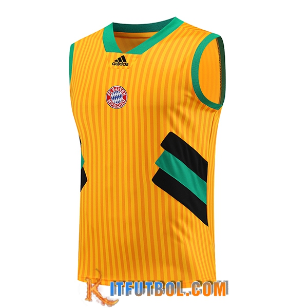 Chalecos De Futbol Bayern Munich Amarillo 2023/2024