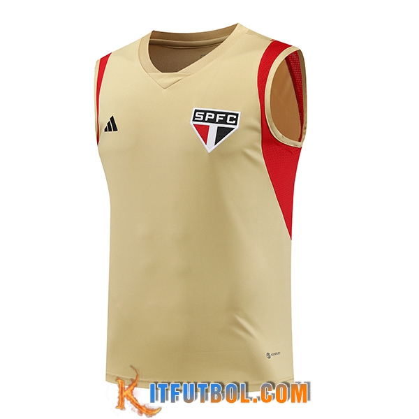 Chalecos De Futbol Sao Paulo FC Marrón 2023/2024