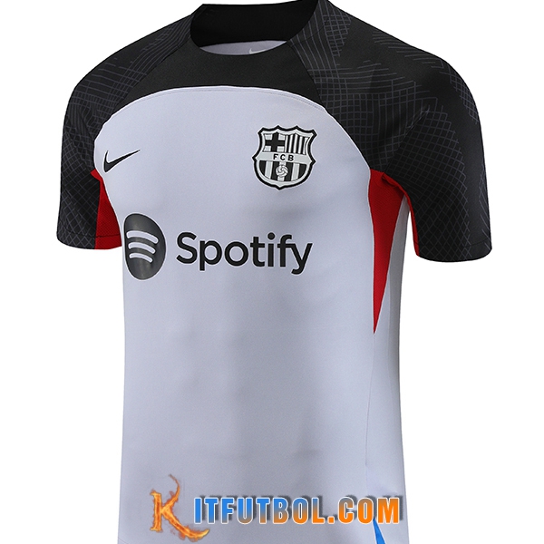 Camiseta Entrenamiento FC Barcelona Gris 2023/2024