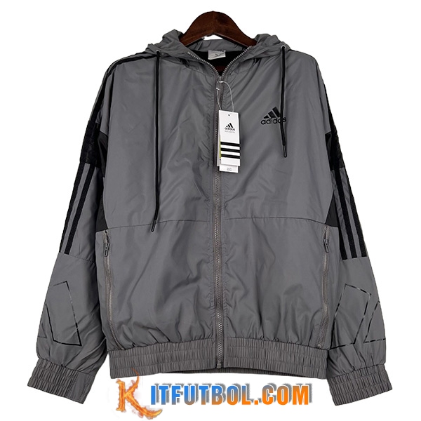 Rompevientos Adidas Gris 2023/2024