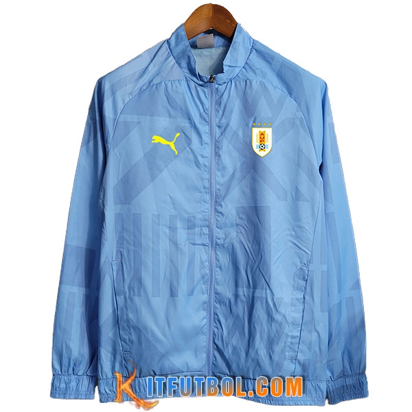 Rompevientos Benfica Azul Claro 2023/2024