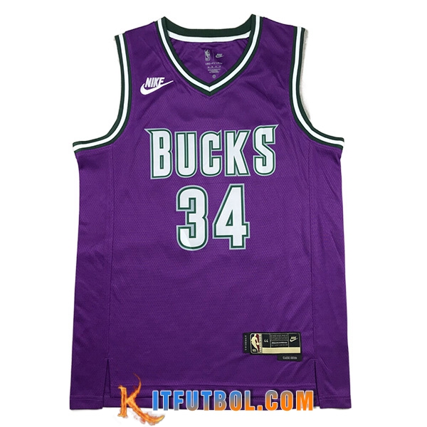 Camisetas Milwaukee Bucks (ANTETOKOUNMPO #34) 2023/24 Violeta