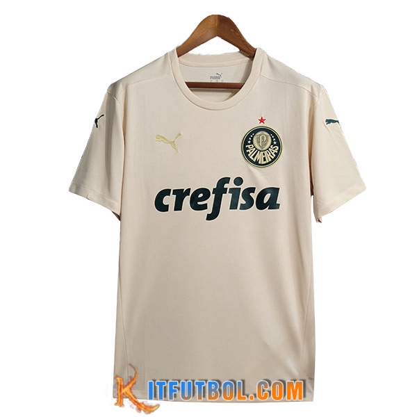 Camisetas De Futbol Palmeiras Retro Segunda 2021/2022