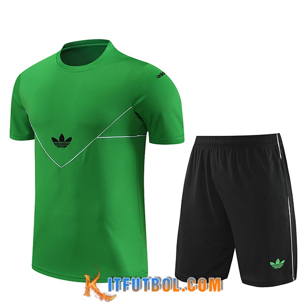 Camiseta Entrenamiento + Cortos Adidas Verde 2023/2024