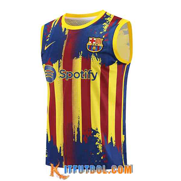 Chalecos De Futbol FC Barcellona Amarillo/Rojo/Azul 2023/2024