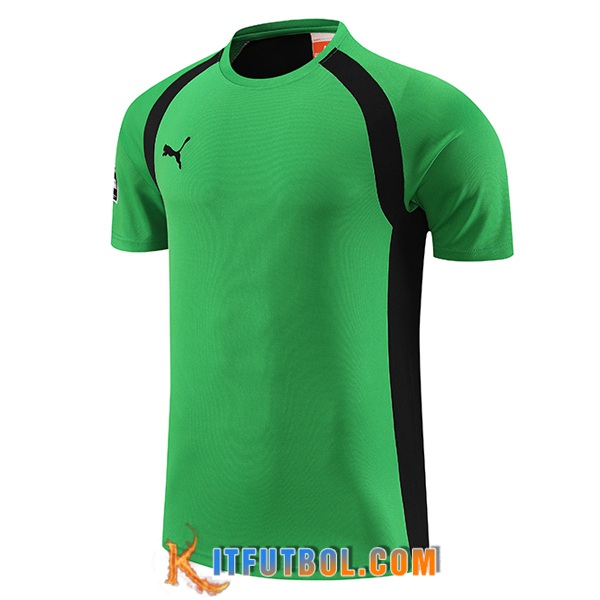 Camiseta Entrenamiento Puma Verde 2023/2024