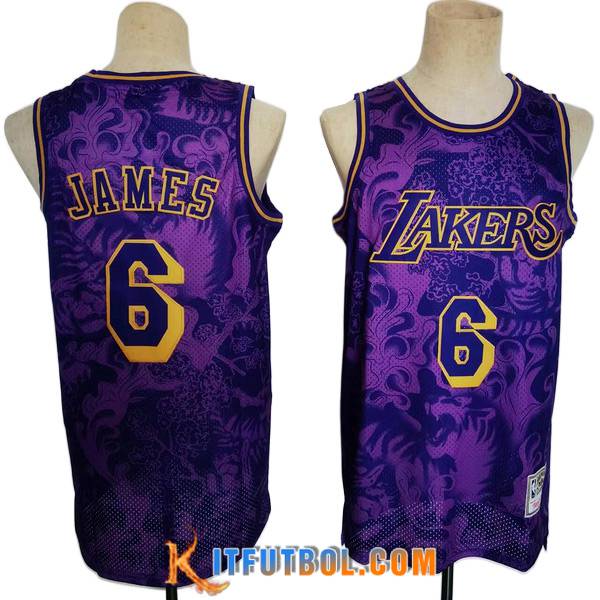 Camisetas Los Angeles Lakers (JAMES #6) 2023/24 Violeta -02