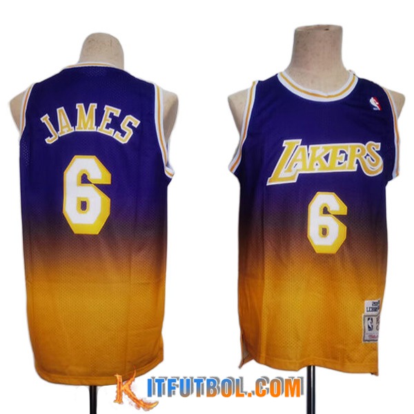 Camisetas Los Angeles Lakers (JAMES #6) 2023/24 Violeta/Amarillo