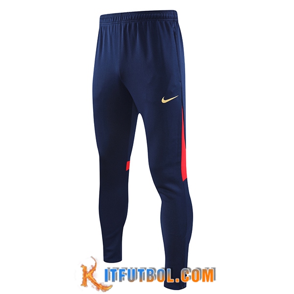 Pantalon Entrenamiento PSG Azul marino 2023/2024