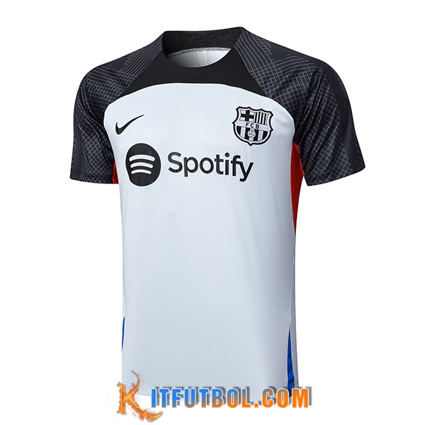 Camiseta Entrenamiento FC Barcellona Gris 2023/2024 -02