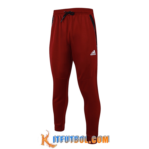 Pantalon Entrenamiento Adidas Rojo 2023/2024
