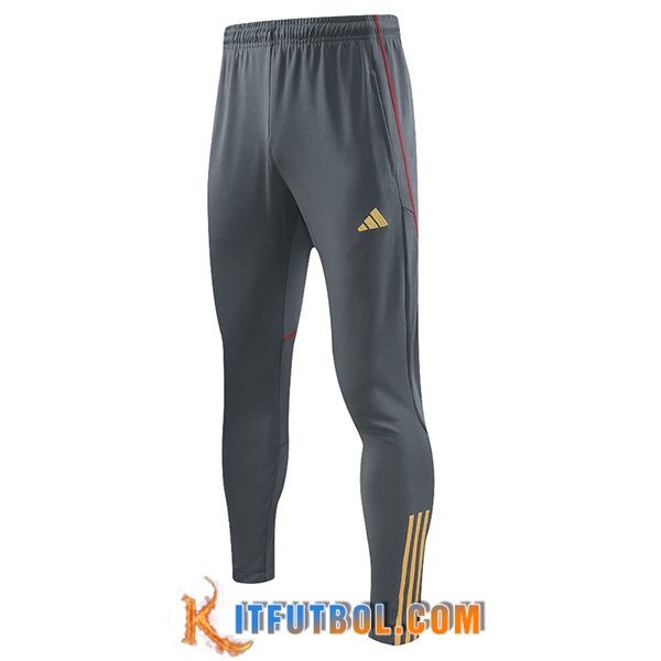 Pantalon Entrenamiento Arsenal Gris 2023/2024