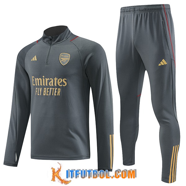 Chandal Equipos De Futbol Arsenal Gris 2023/2024