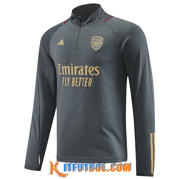 Sudadera De Entrenamiento Arsenal Gris 2023/2024