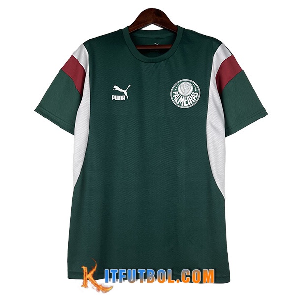 Camisetas De Futbol Palmeiras Verde 2023/2024