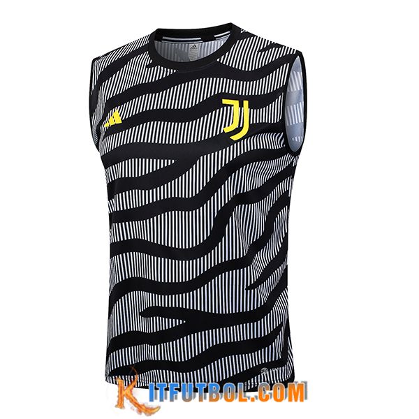 Chalecos De Futbol Juventus Gris 2023/2024