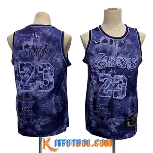 Camisetas Los Angeles Lakers (JAMES #23) 2023/24 Violeta