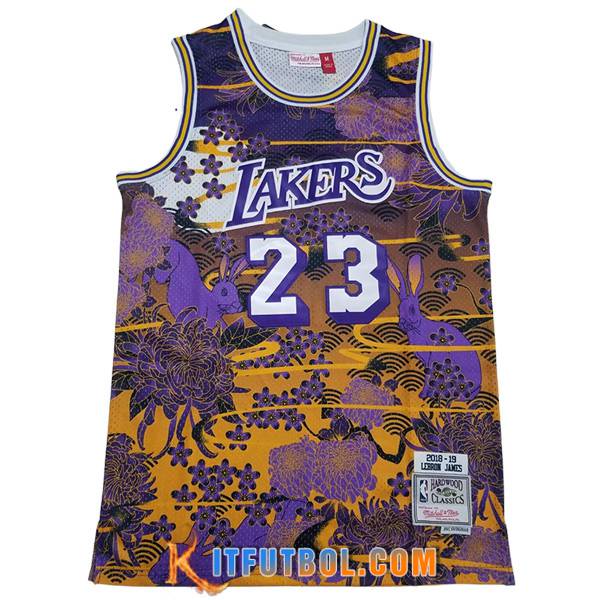 Camisetas Los Angeles Lakers (JAMES #23) 2023/24 Amarillo/Violeta