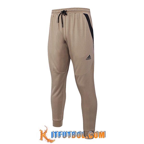 Pantalon Entrenamiento Adidas Marrón 2023/2024