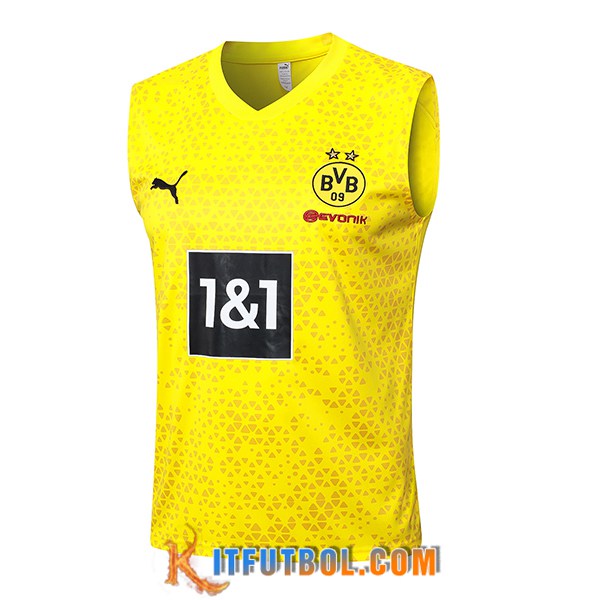 Chalecos De Futbol Dortmund Amarillo 2023/2024