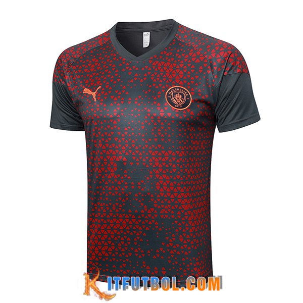 Camiseta Entrenamiento Manchester City Gris 2023/2024