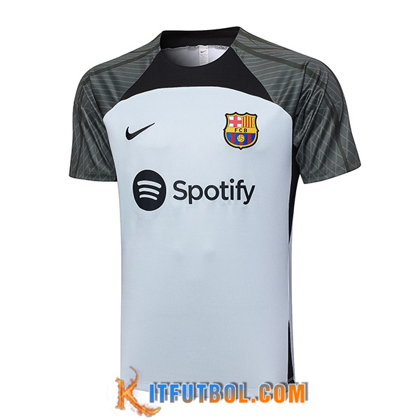 Camiseta Entrenamiento FC Barcelona Gris Claro 2023/2024