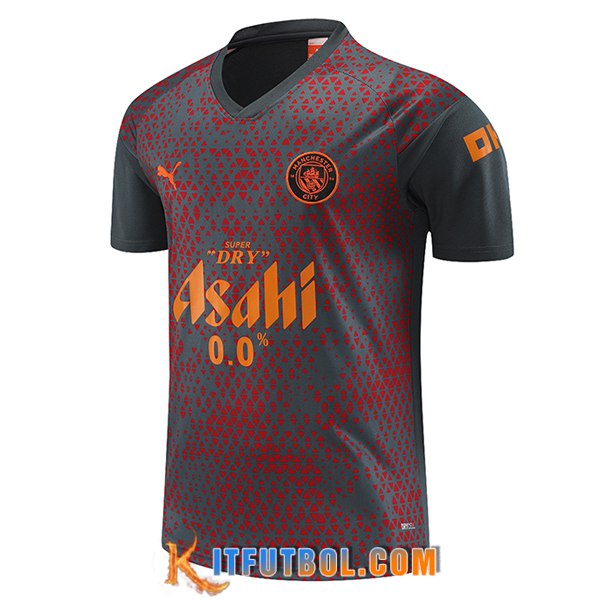 Camiseta Entrenamiento Manchester City Gris/Rojo 2023/2024